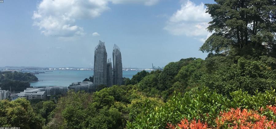 Singapore waterfront and parkland seen from a leafy hillside at a calm pace